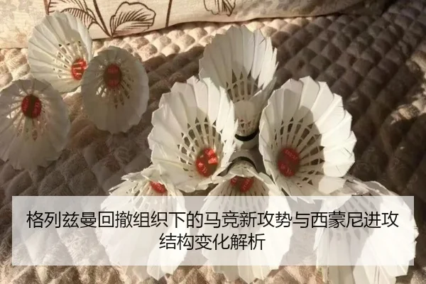 ge-lie-zi-man-hui-che-zu-zhi-xia-de-ma-jing-xin-gong-shi-yu-xi-meng-ni-jin-gong-jie-gou-bian-hua-jie-xi-1-886.jpg