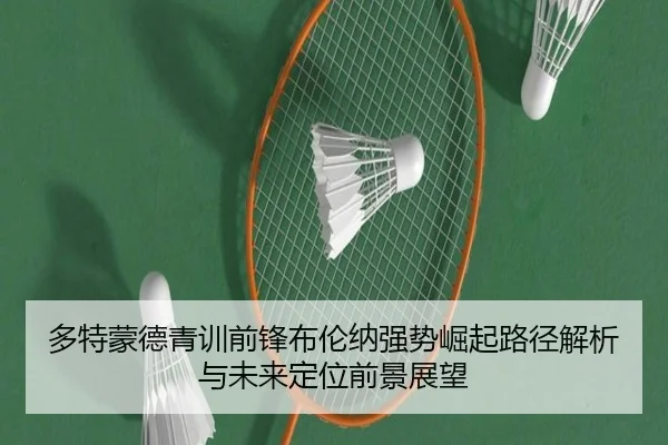 多特蒙德青训前锋布伦纳强势崛起路径解析与未来定位前景展望